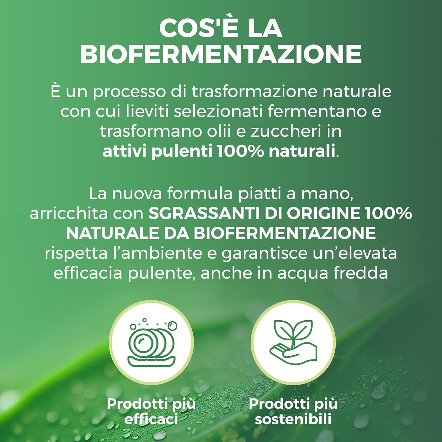 Winni's - Concentrated Hypoallergenic Detergent with Natural Biofermentation Degreasers, Lime and Apple Flowers, Vegetable Origin Raw Materials, 480 ml x 12 Packs